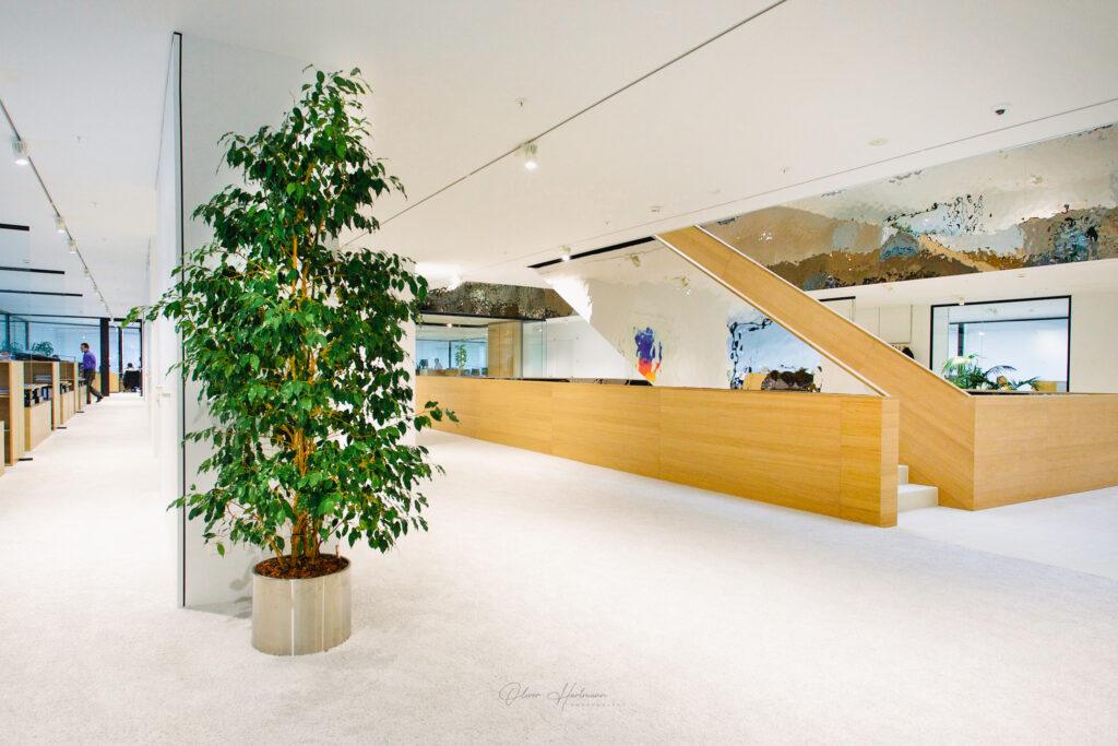 Bank-First-Advisory-Architecture_Architektur-4