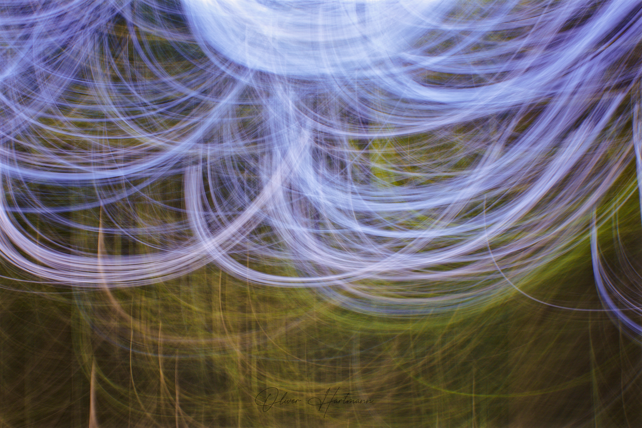 oliverhartmann-photography-forest-art-fotografie-4
