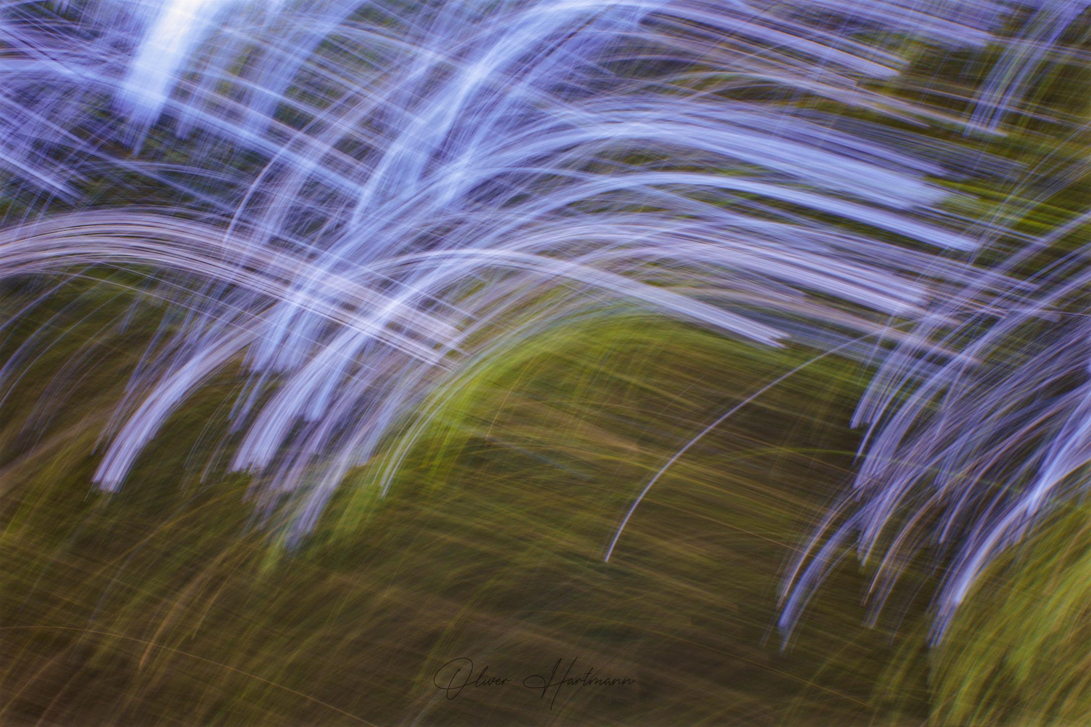 oliverhartmann-photography-forest-art-fotografie-5