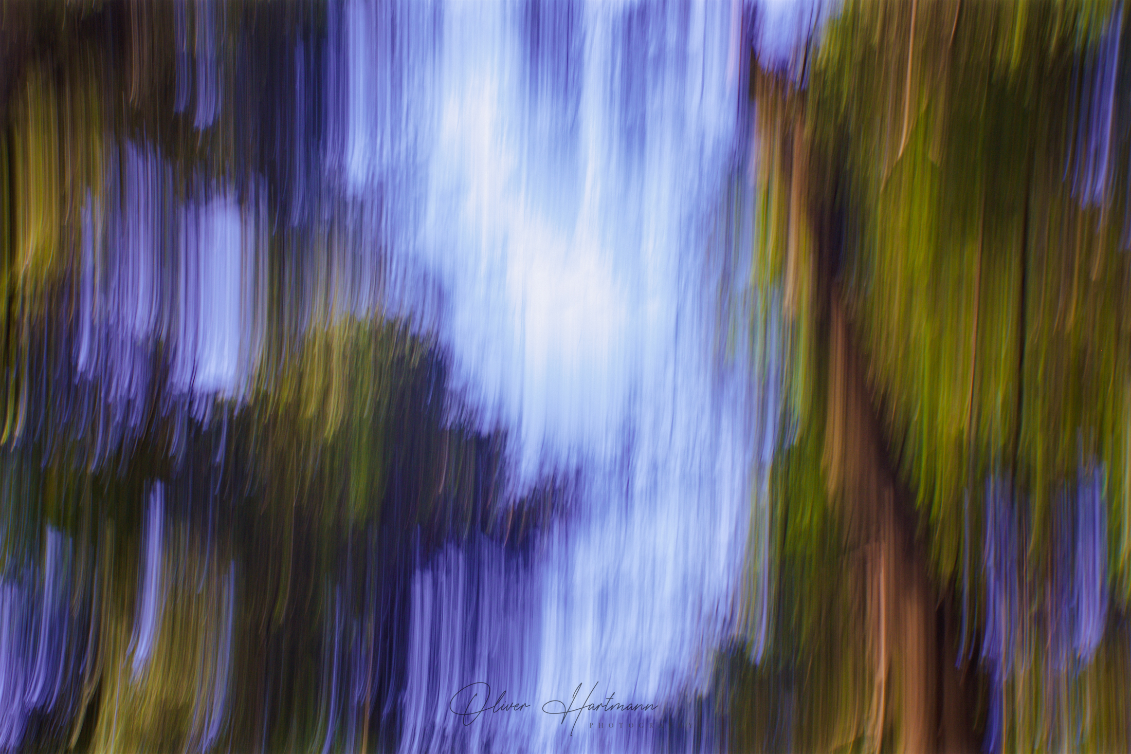oliverhartmann-photography-forest-art-fotografie-7